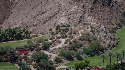 Desert hillside and winding path above colorful landscaping at Sensei Porcupine Creek.
