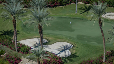 Palm trees beside a sculpted sand bunker and golf green at Sensei Porcupine Creek in Rancho Mirage.