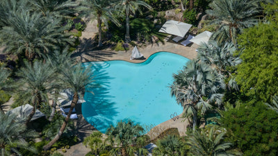 Turquoise swimming pool surrounded by palms, gardens and lounge areas at Sensei Porcupine Creek.