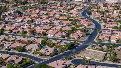 Palm trees and landscaped front yards at Whitehawk